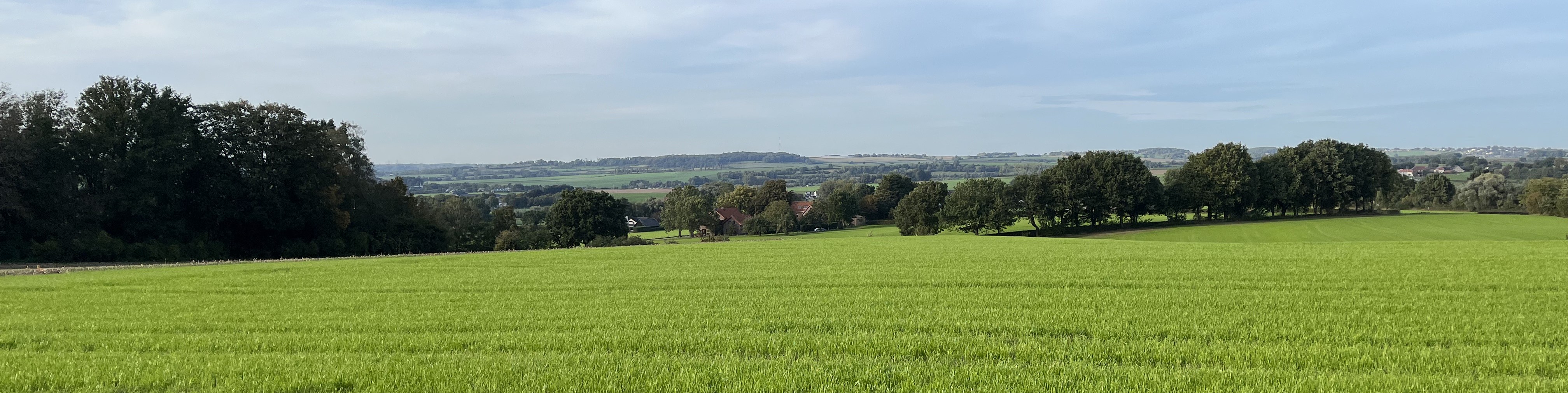 panorama zicht op de "Ginsterberg" vanaf het Elzetterbos